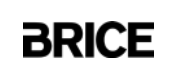 Brice